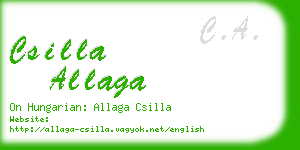 csilla allaga business card